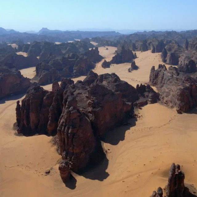 Divlja Arabija - Prva sezona