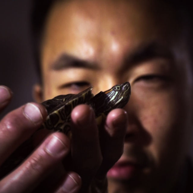 Najčudniji ljubimci svijeta