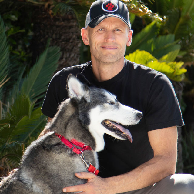 Így neveld a kutyád!