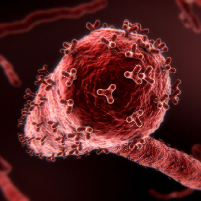 Áttörés a jövőbe: Harc a vírussal