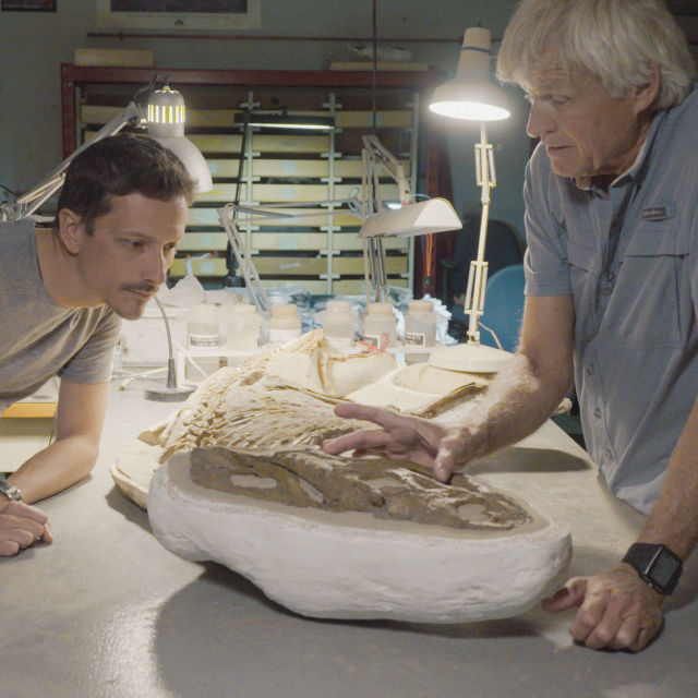 A dinoszauruszvadász