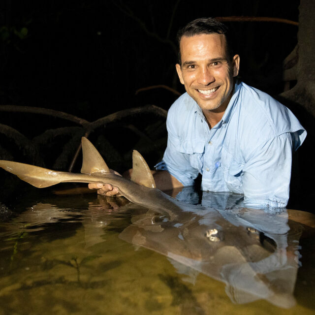 Született túlélők