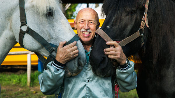 Dr. Pol állatklinikája