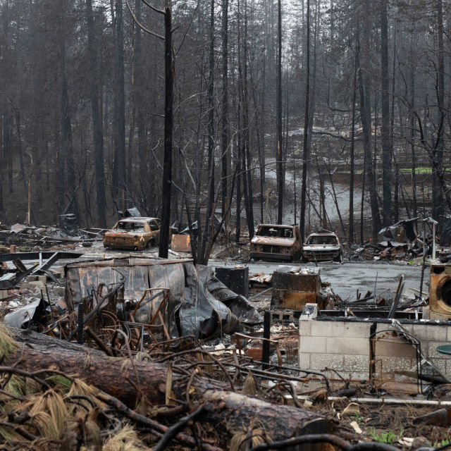 לבנות את גן העדן מחדש