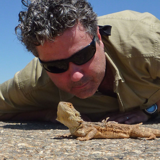 נחשים בהפתעה