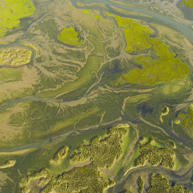 אוצרות טבעיים 1