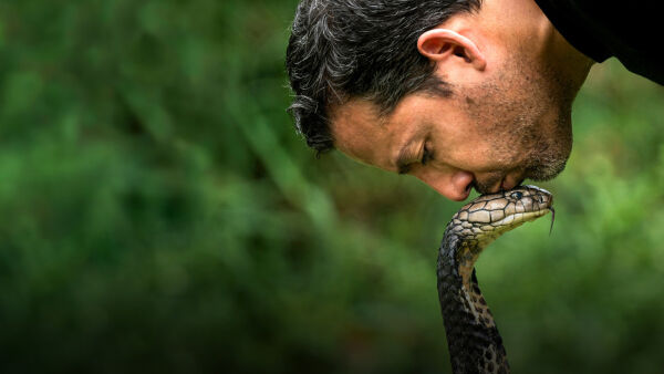 DAVID BLAINE: DO NOT ATTEMPT