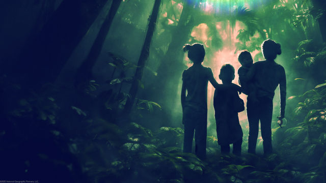 Lost in the Jungle