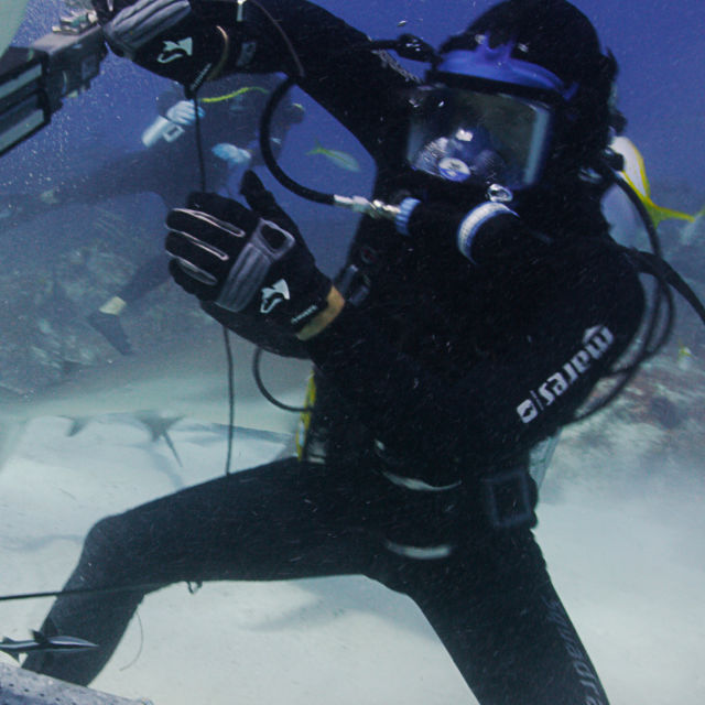 Shark Superpower