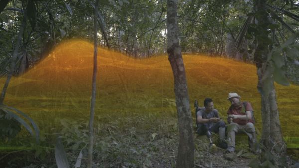 Lost Treasures of The Maya