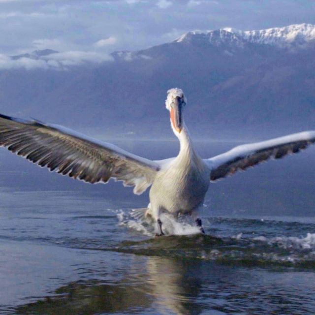 Hidden Wonders of Europe