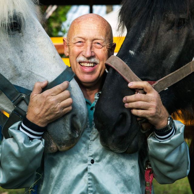 The Incredible Dr. Pol Compilations