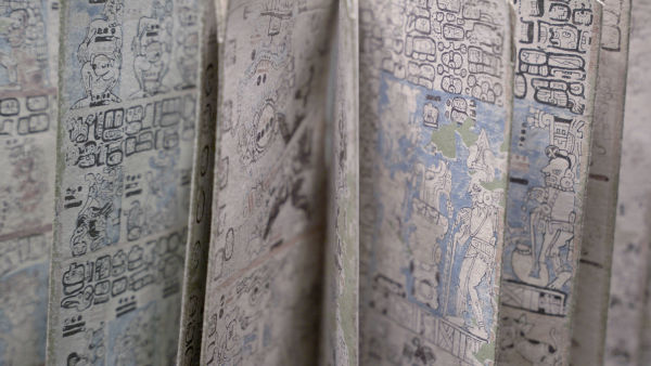 The Rise and Fall of the Maya