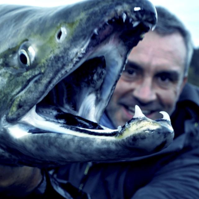 Last of the Giants: Wild Fish