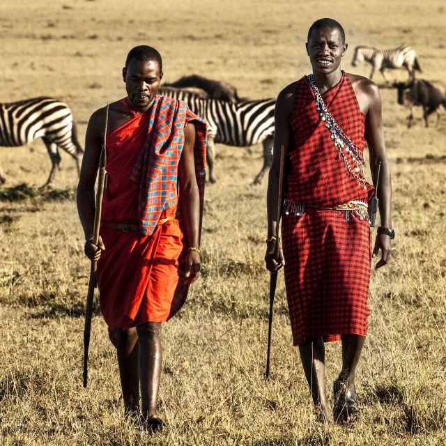 Tribe Vs Pride