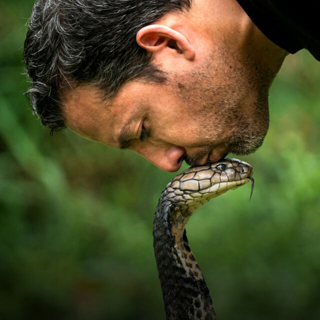 David Blaine: Do Not Attempt