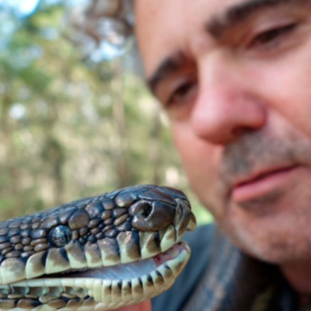 Slangenes overraskelser