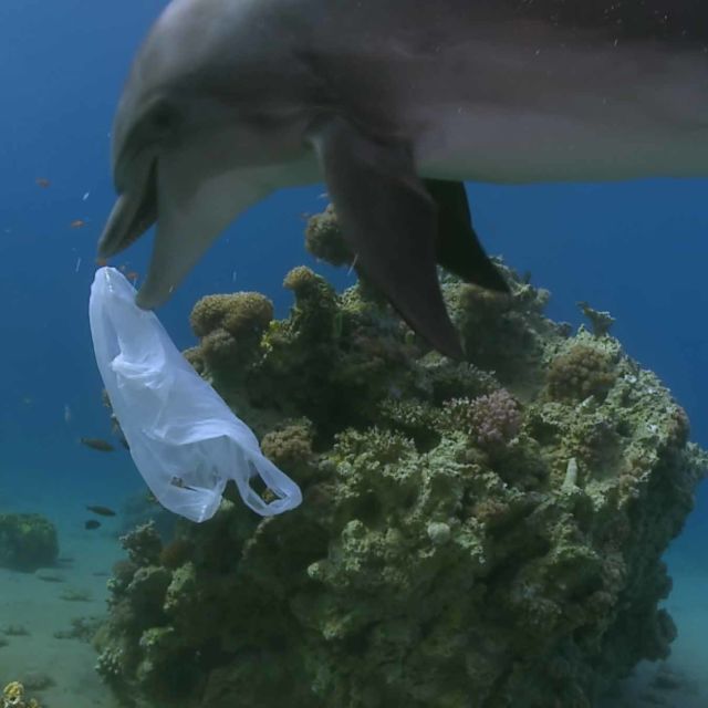 Sjømonsteret av plast