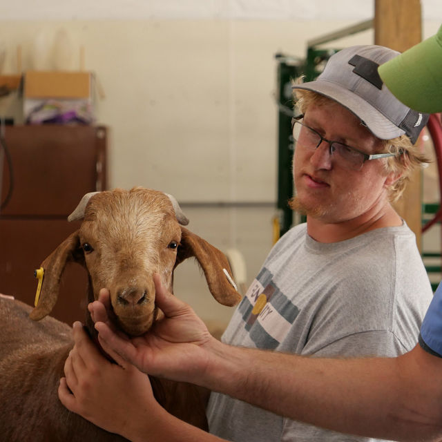 Heartland Docs