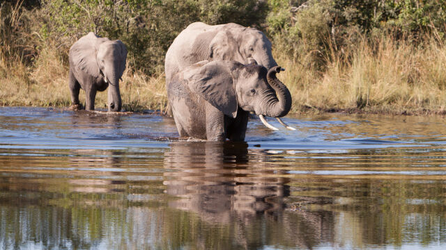 Africa's Ghost River
