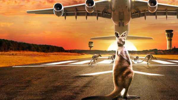 Lotnisko w Melbourne 24/7