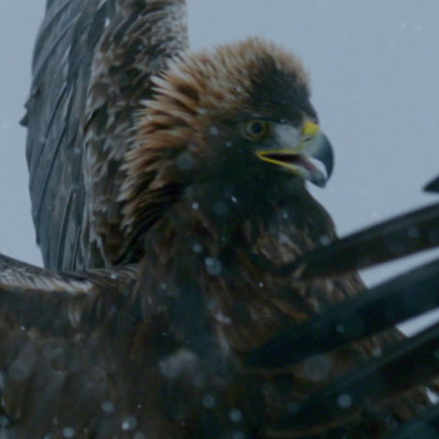 Alaska i mroźne pustkowia