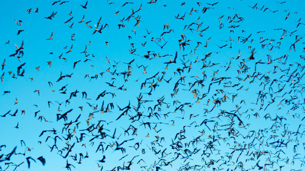 Nieposkromiona Ameryka Południowa