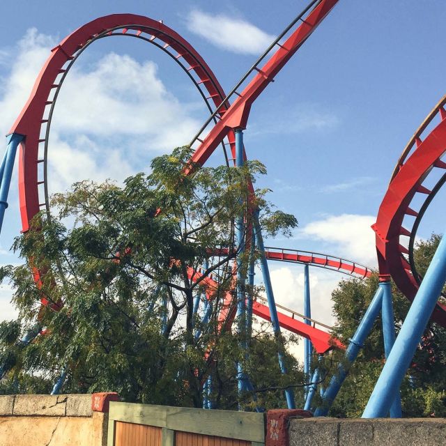 Naukowy rollercoaster