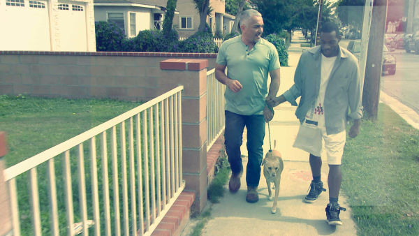 Cesar Millan na ratunek