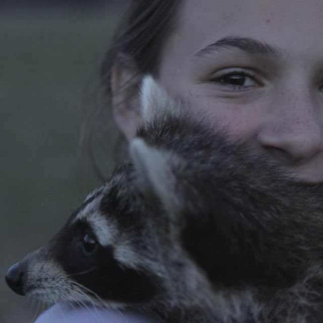 Ratownicy dzikich zwierząt