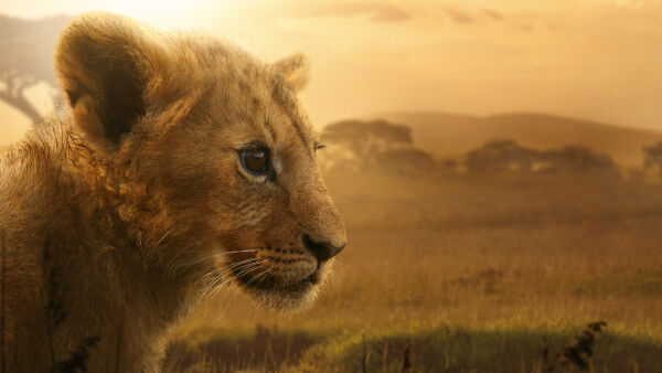 Lion