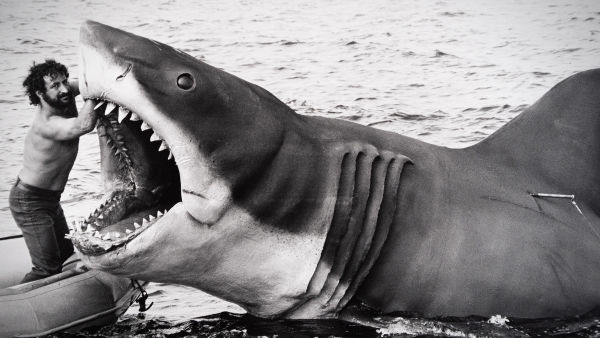 50 anos de Tubarão: A história definitiva dos bastidores