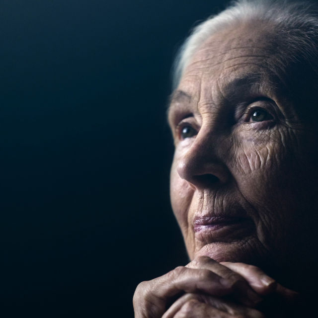 Jane Goodall: The Hope