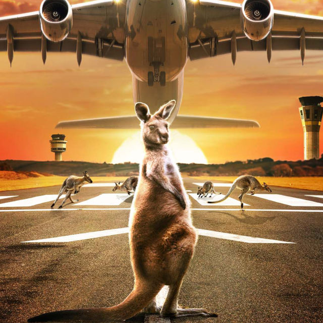 Aeroportul din Melbourne