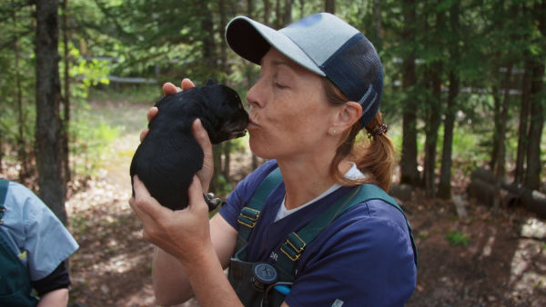 Legătură indestructibilă