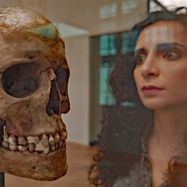 Războinicele vikinge