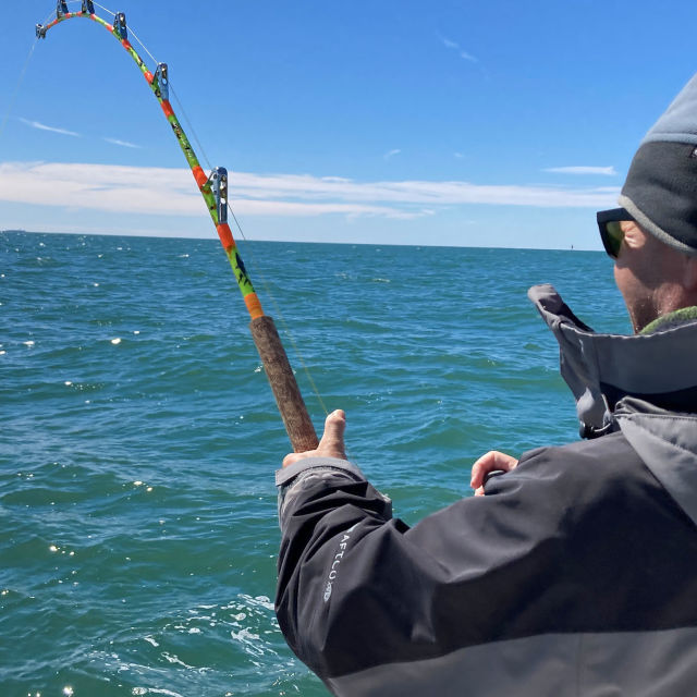 Rechin sub zero grade