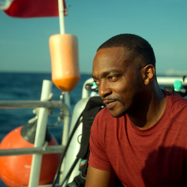 Anthony Mackie: Plaja rechinilor