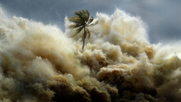 Tsunami: Cursă contracronometru