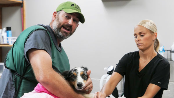 Familia de veterinari