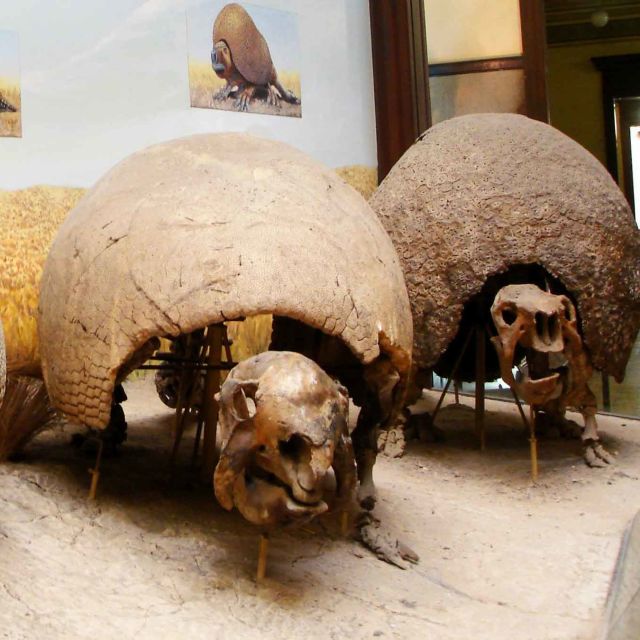 Voiajul uitat al lui Darwin