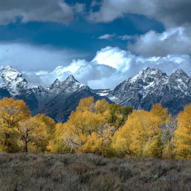 Sălbaticul Yellowstone: Foc și gheață