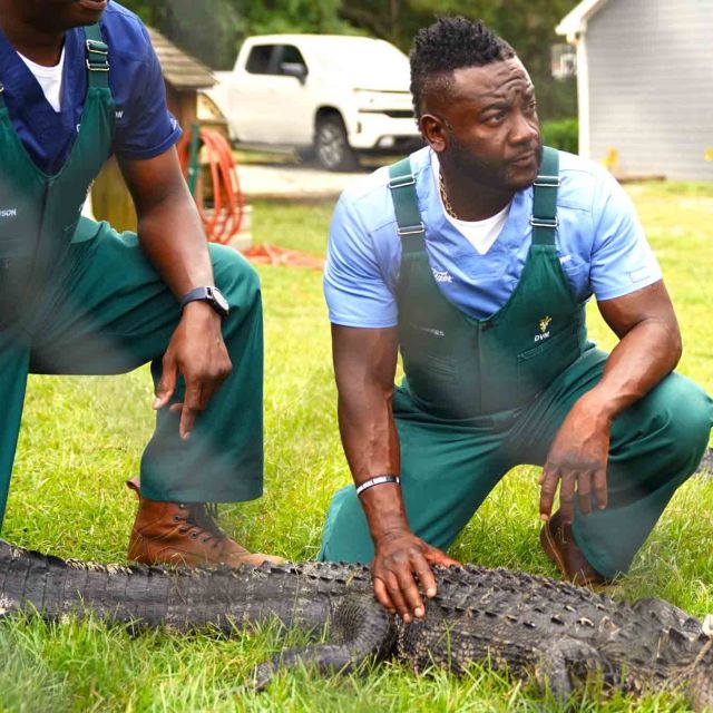 Salvatorii animalelor: veterinari la țară Reptile
