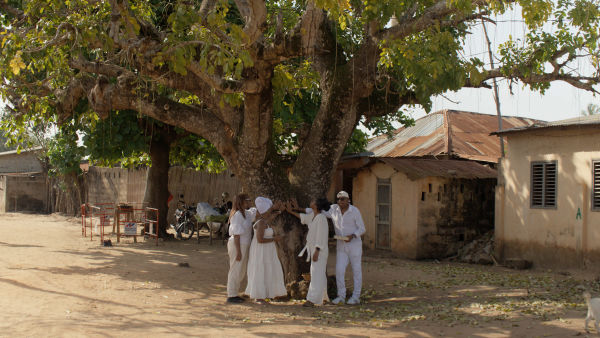 "Klotilda": Povratak kući