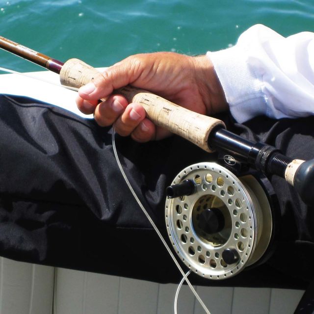 Čovek protiv ajkule