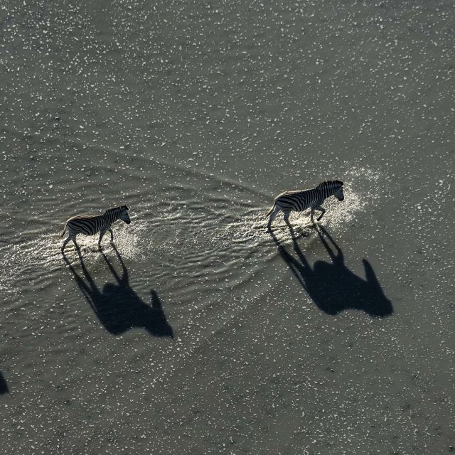 Okavango: Reka snova