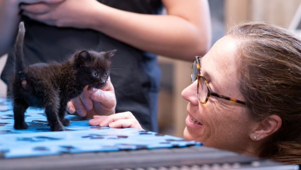 Dr Oukli: Veterinar iz Jukona