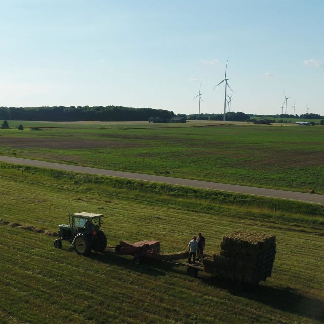 The Incredible Pol Farm