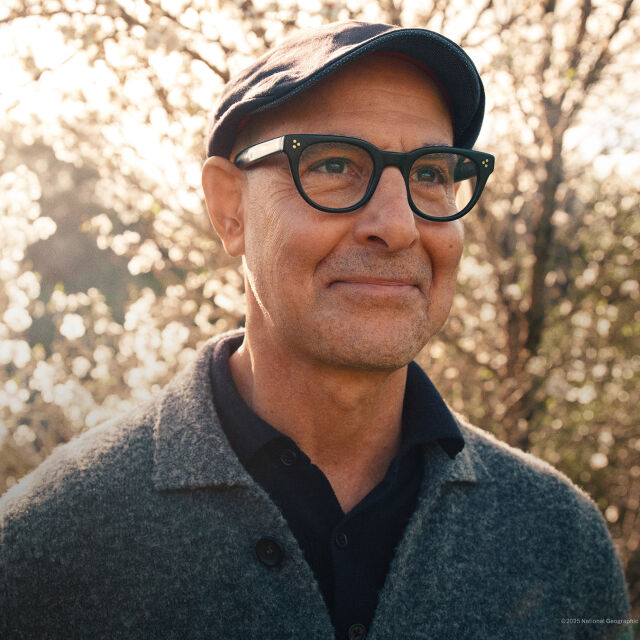Tucci in Italy