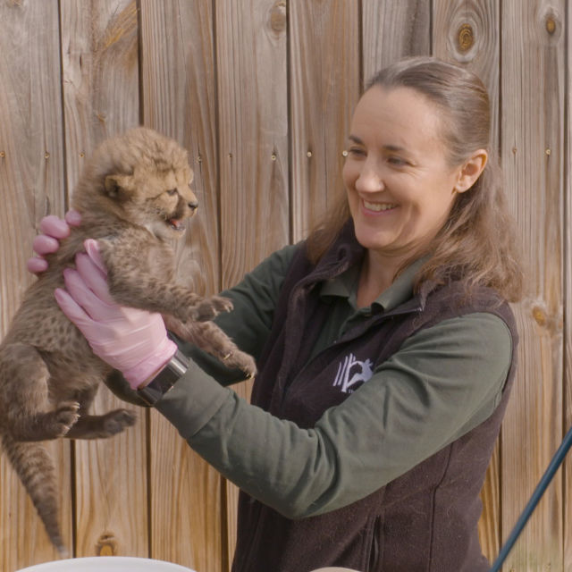 Djurparkernas hemligheter